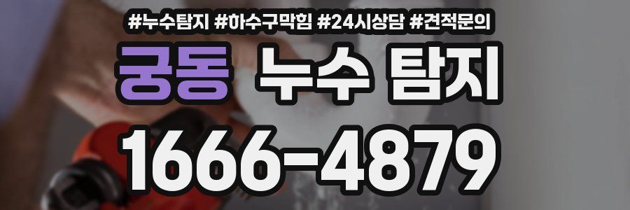 궁동 누수 탐지