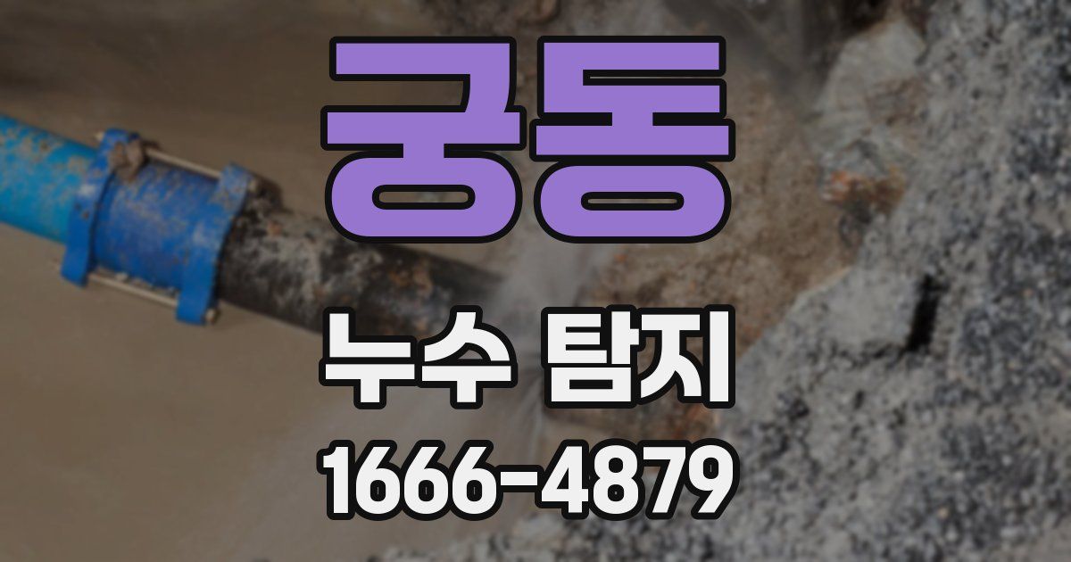 궁동 누수 탐지