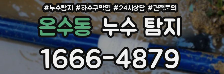 온수동 누수 탐지