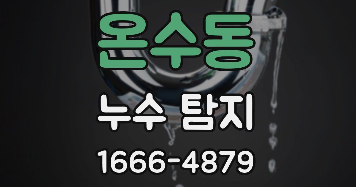 온수동 누수 탐지