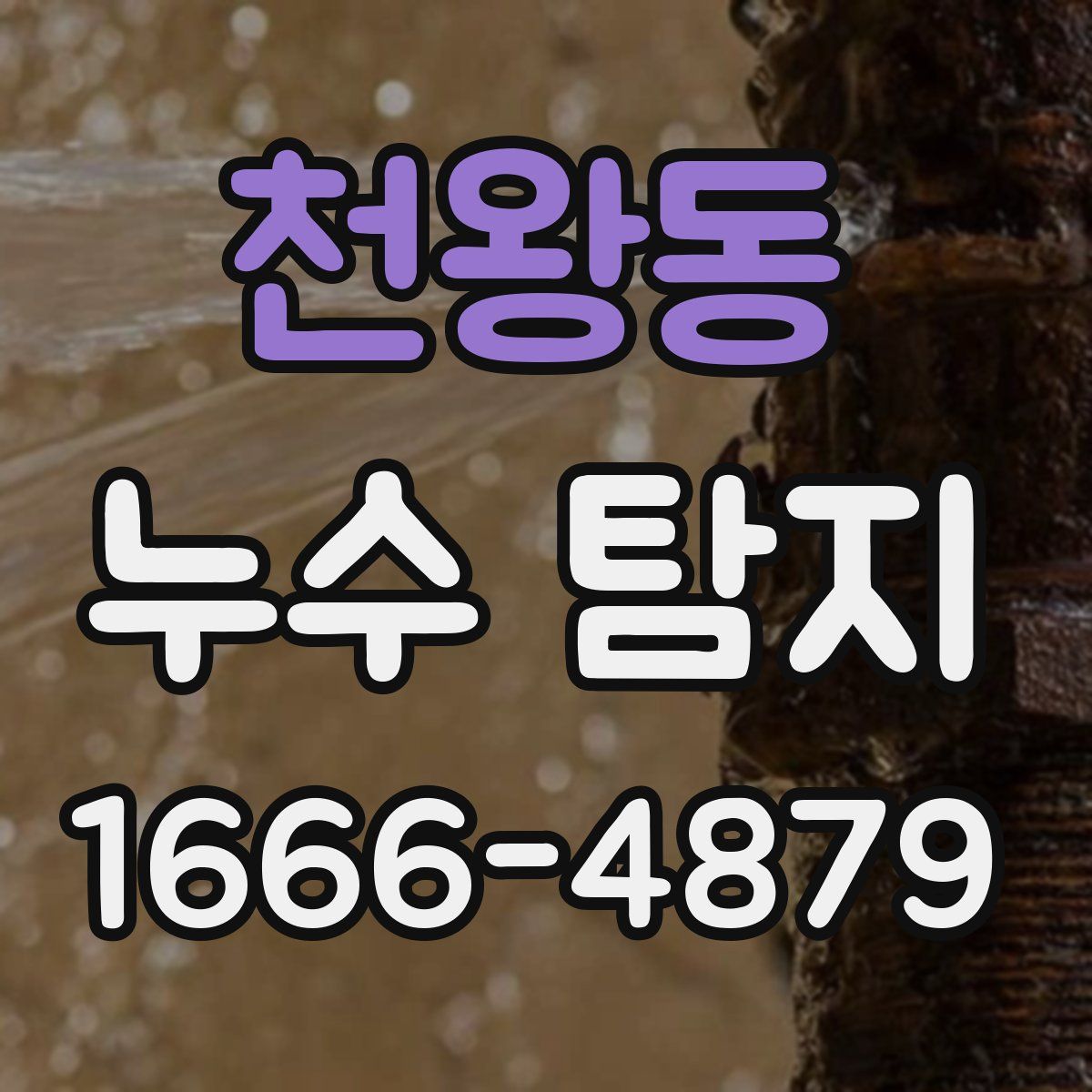 천왕동 누수 탐지