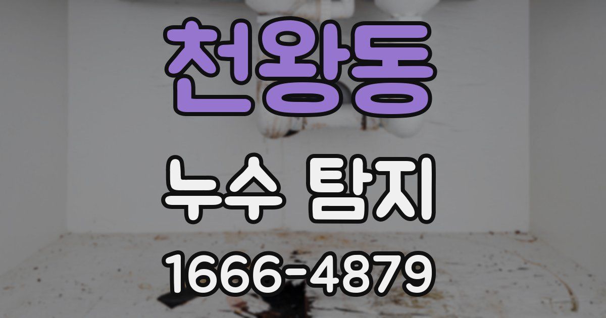 천왕동 누수 탐지