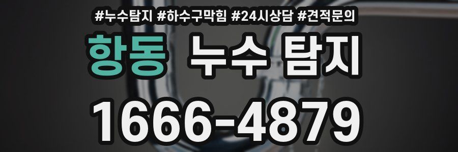 항동 누수 탐지