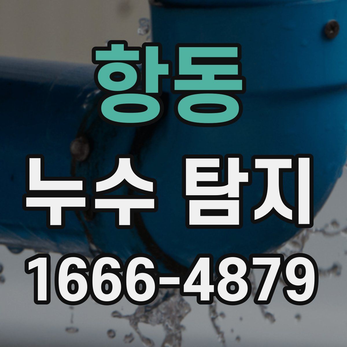 항동 누수 탐지
