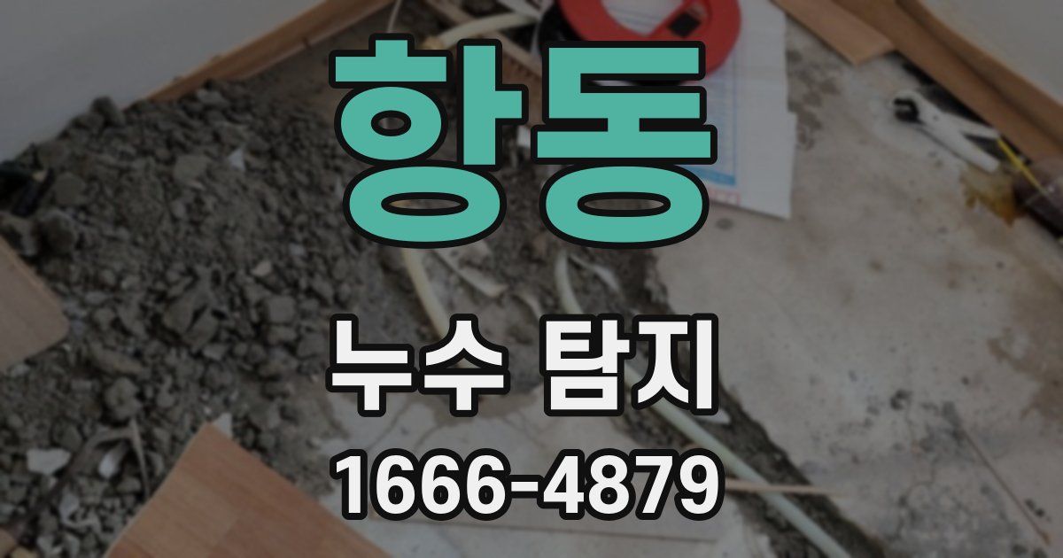 항동 누수 탐지