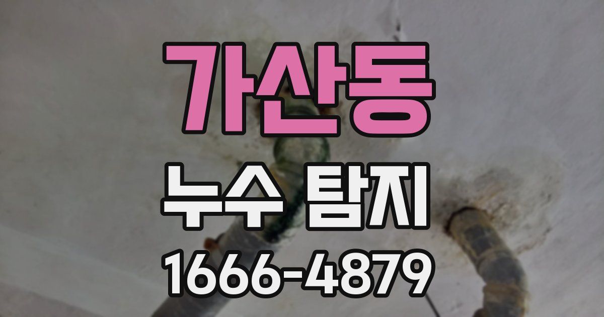 가산동 누수 탐지