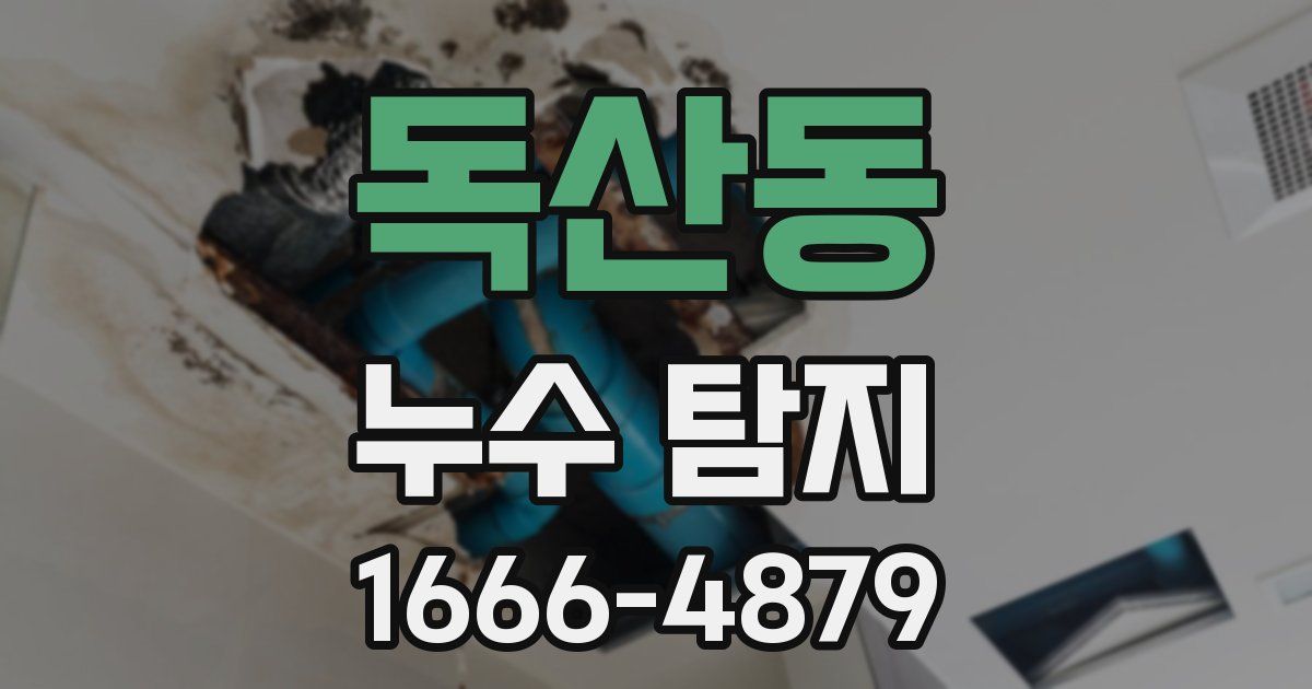 독산동 누수 탐지
