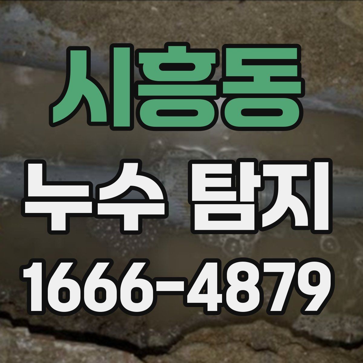 시흥동 누수 탐지 업체 후기 볼 때 유의할 점