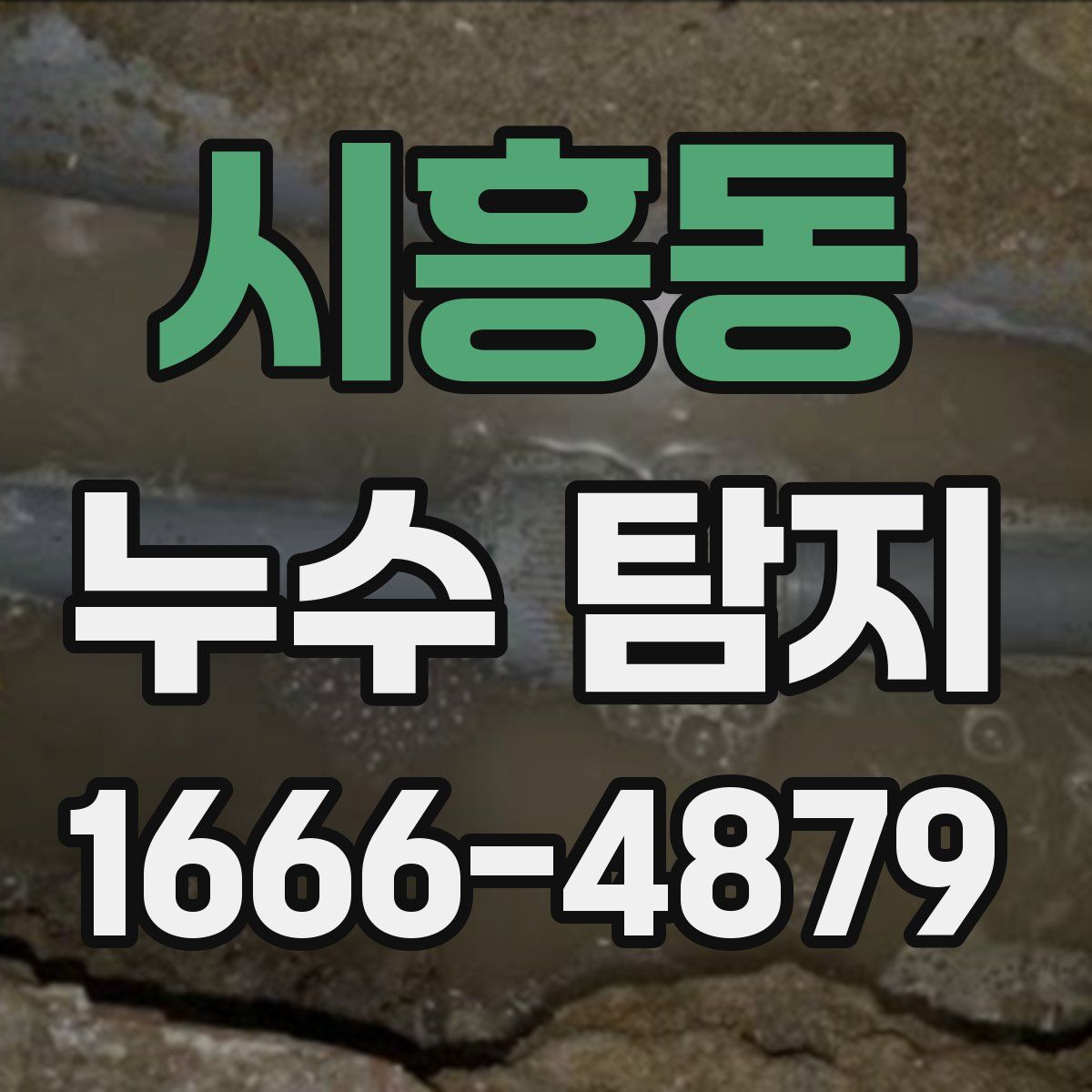 시흥동 누수 탐지