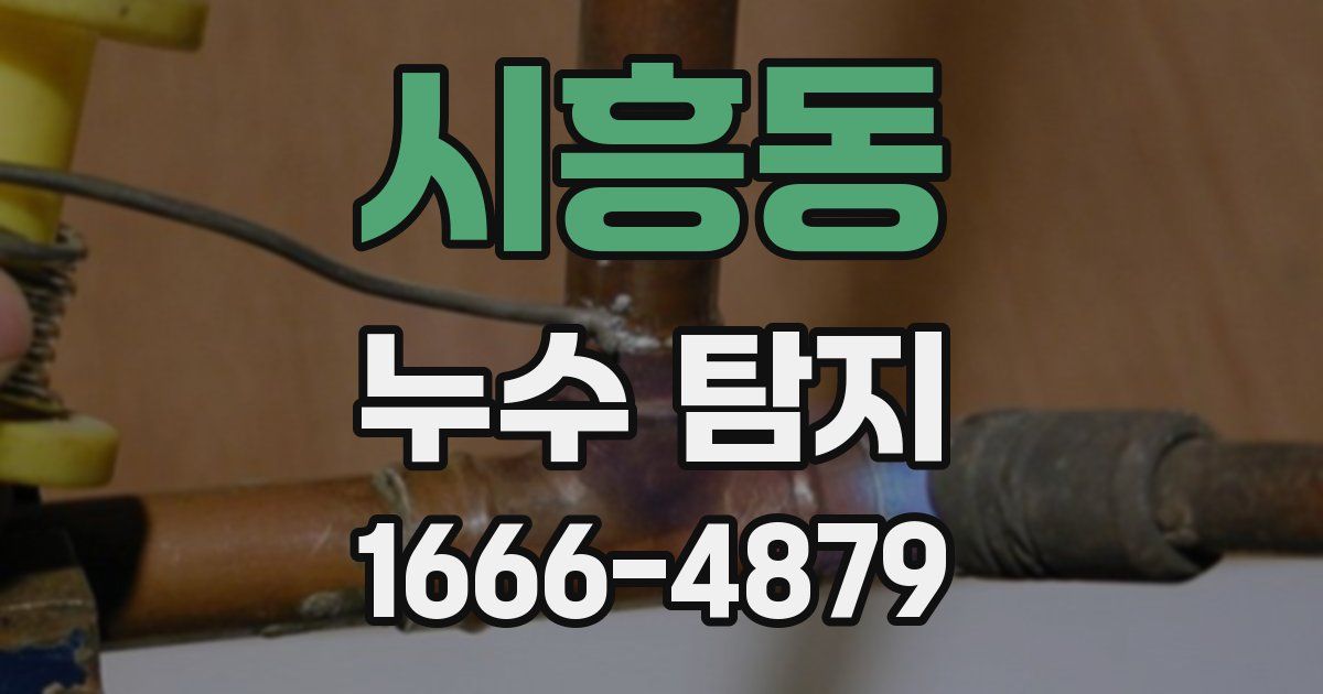 시흥동 누수 탐지