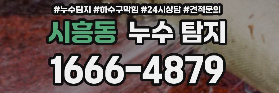 시흥동 누수 탐지