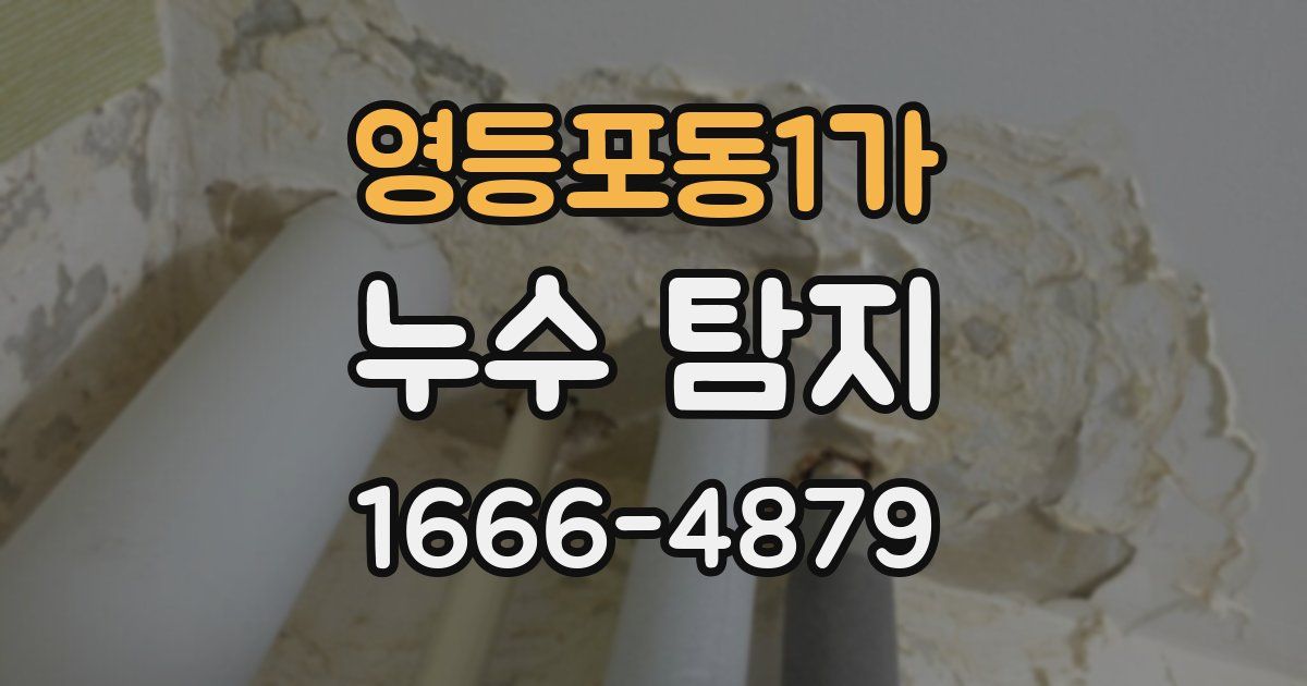 영등포동1가 누수 탐지