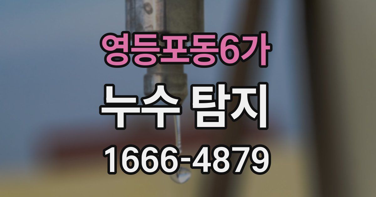 영등포동6가 누수 탐지