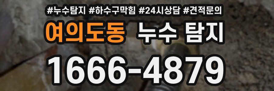 여의도동 누수 탐지
