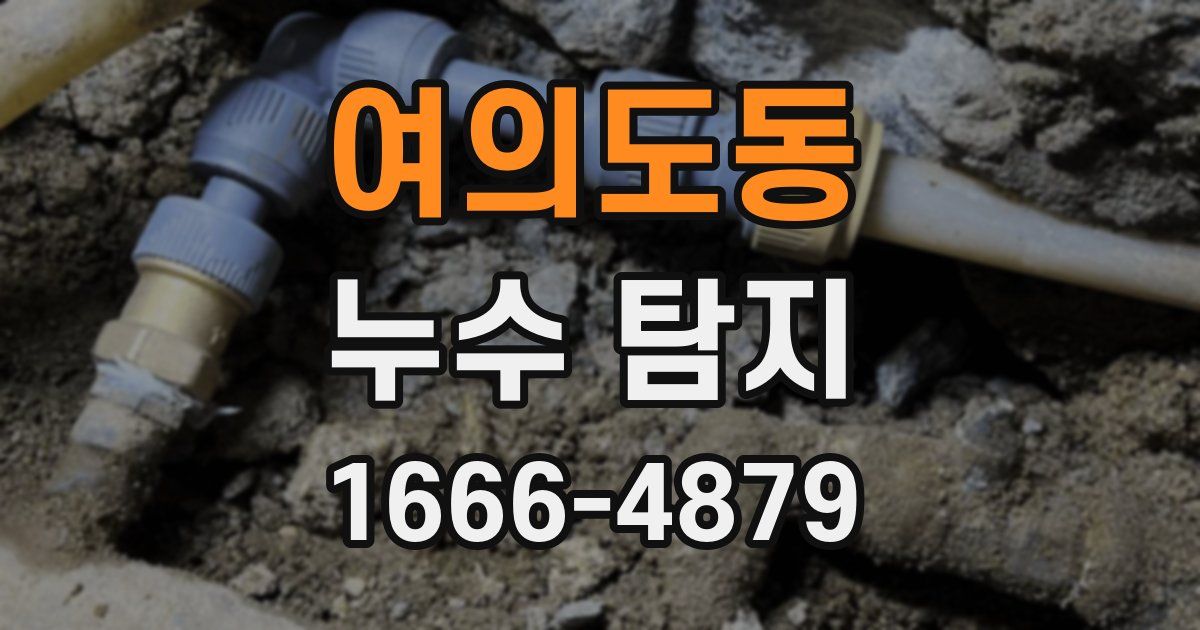 여의도동 누수 탐지