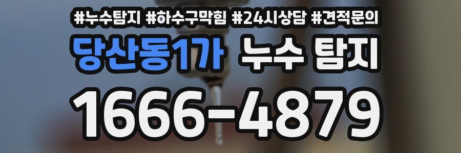 당산동1가 누수 탐지
