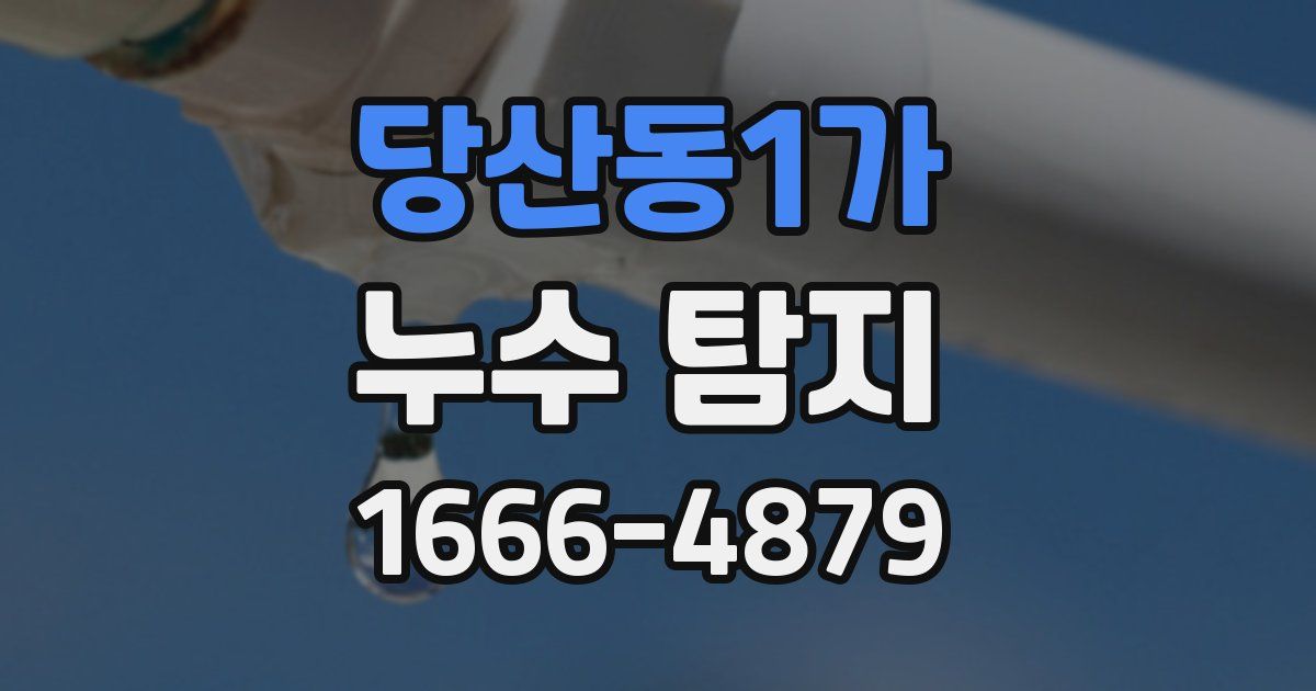 당산동1가 누수 탐지
