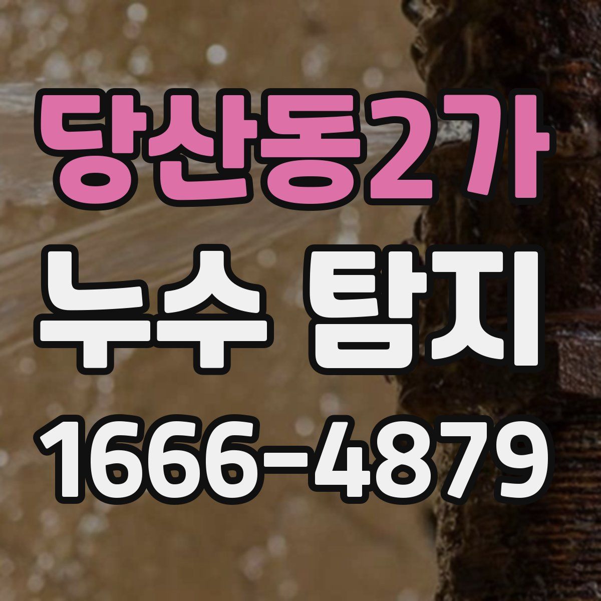 당산동2가 누수 탐지