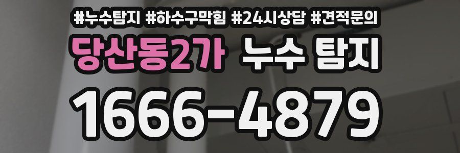 당산동2가 누수 탐지