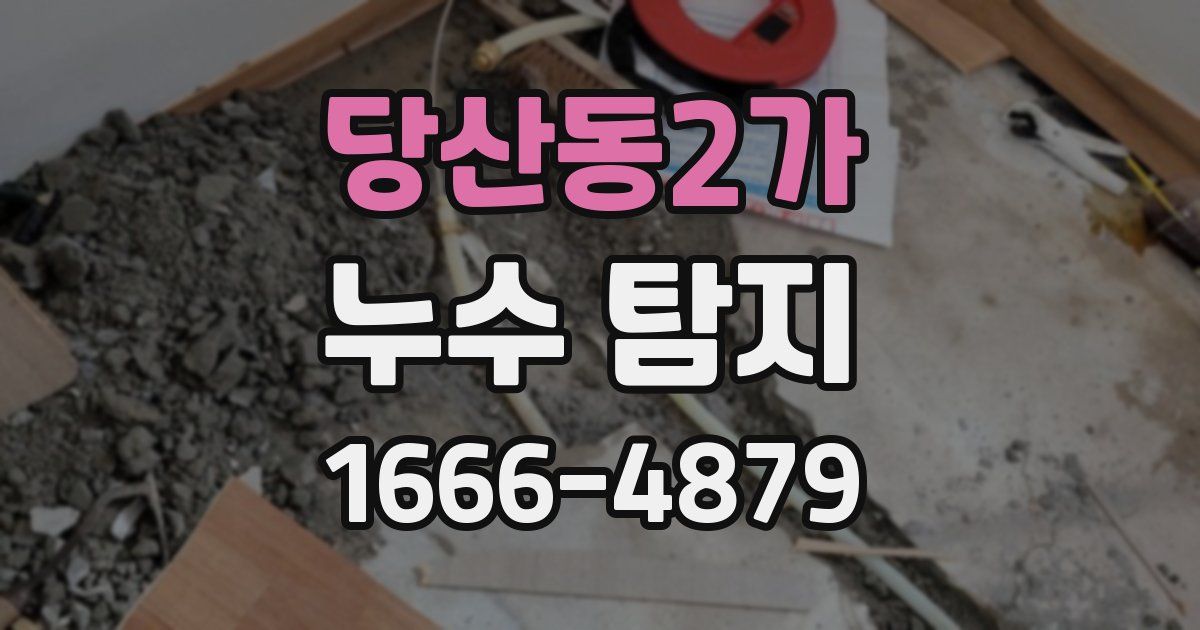 당산동2가 누수 탐지