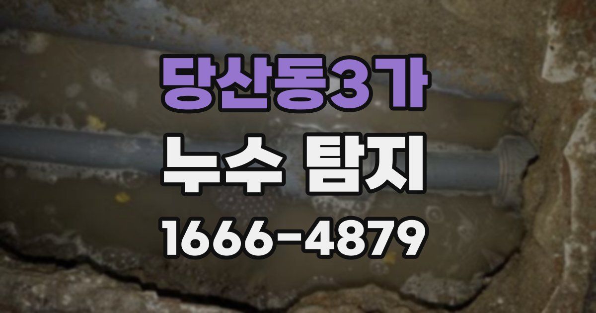 당산동3가 누수 탐지