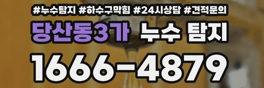 당산동3가 누수 탐지