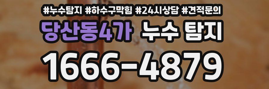 당산동4가 누수 탐지