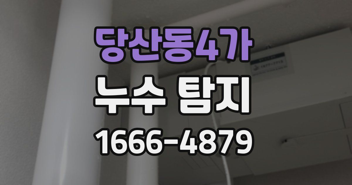 당산동4가 누수 탐지