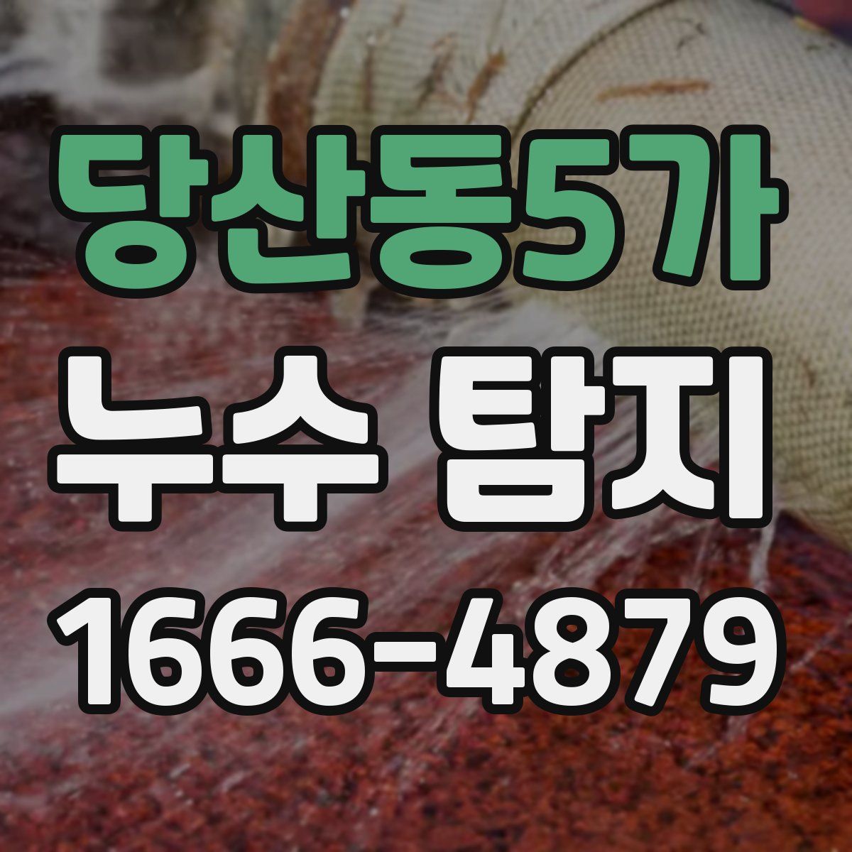 당산동5가 누수 탐지