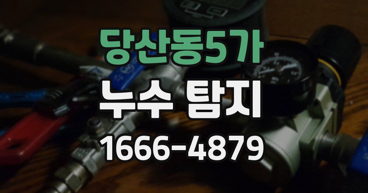 당산동5가 누수 탐지
