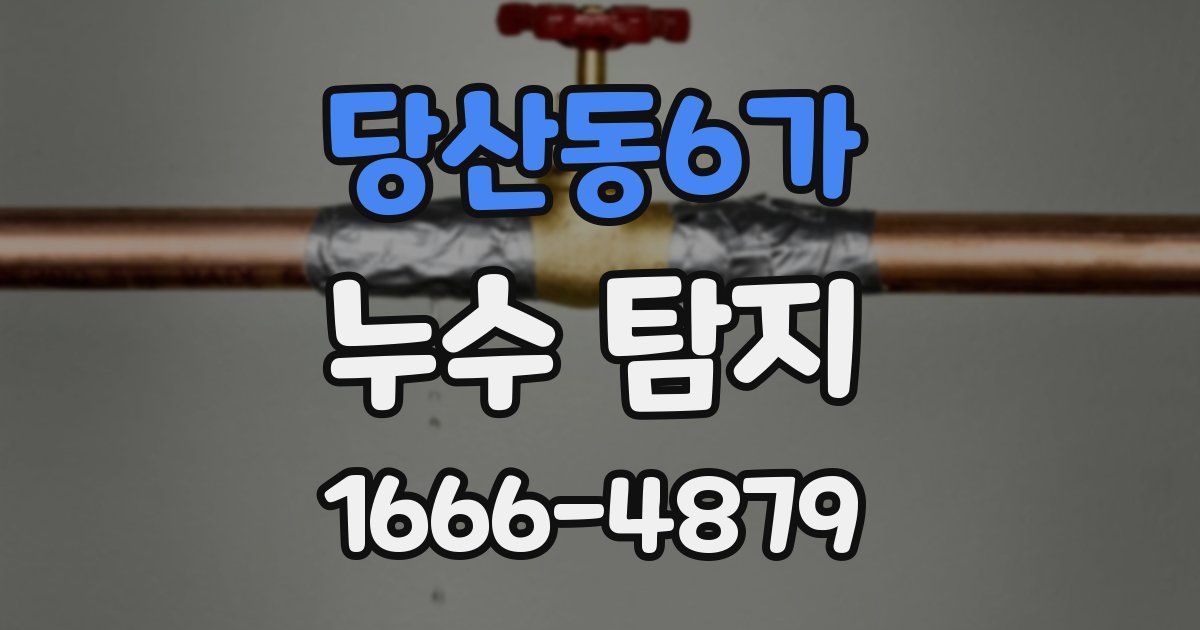당산동6가 누수 탐지