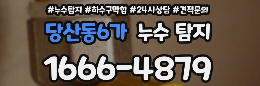 당산동6가 누수 탐지