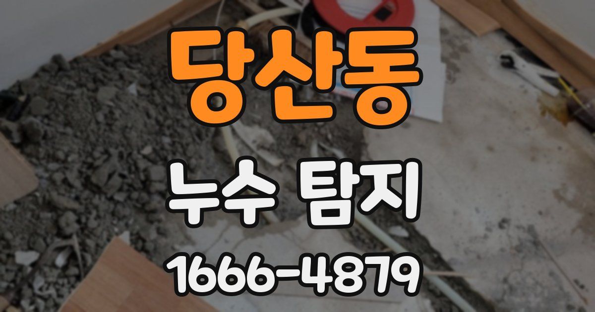 당산동 누수 탐지