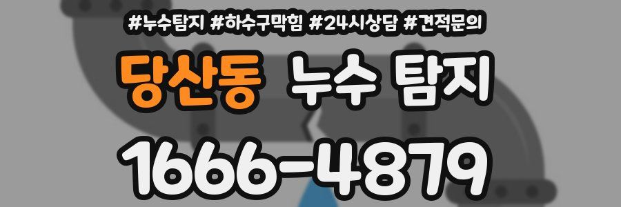 당산동 누수 탐지