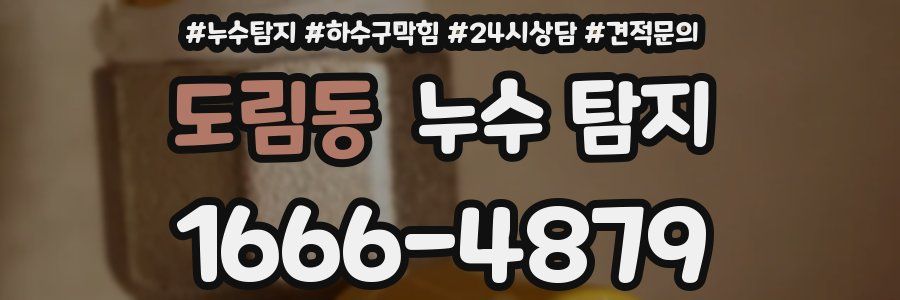 도림동 누수 탐지
