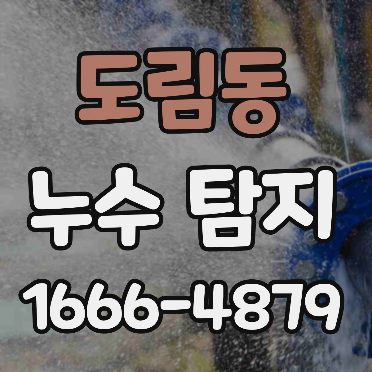도림동 누수 탐지