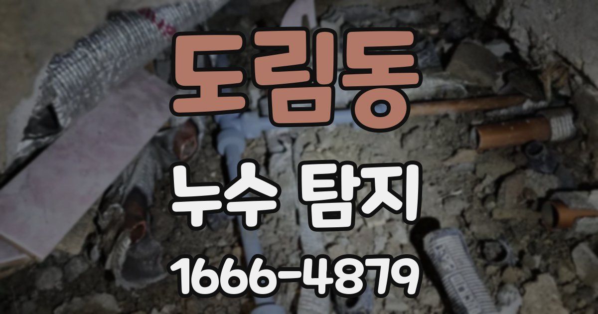 도림동 누수 탐지