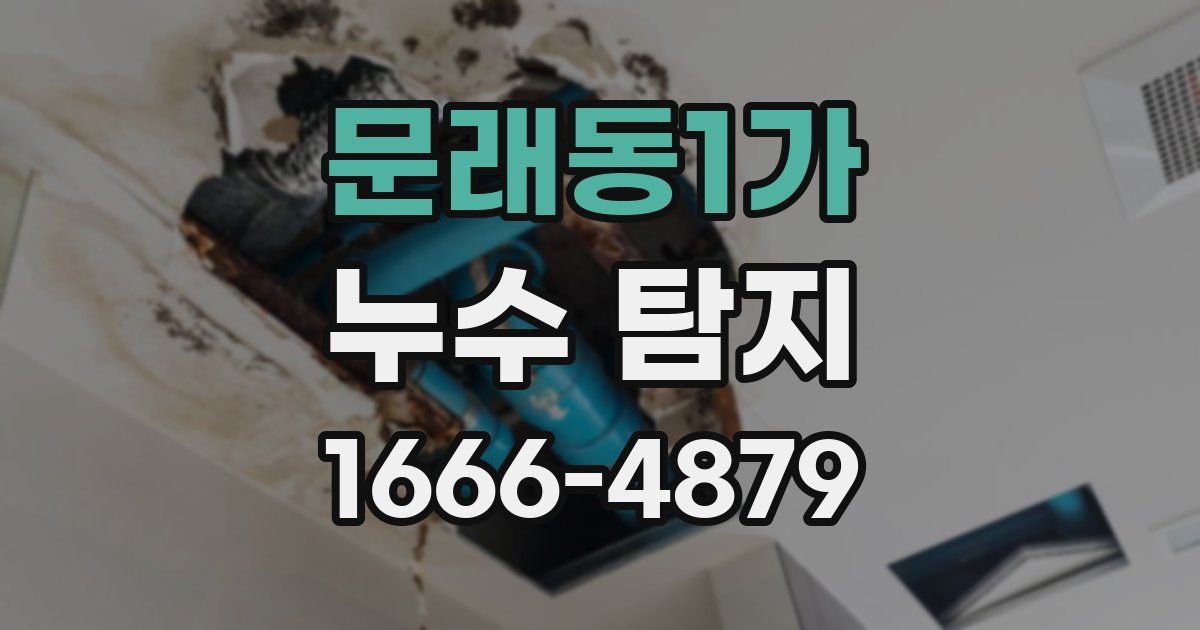 문래동1가 누수 탐지