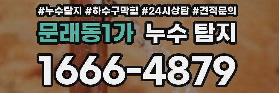 문래동1가 누수 탐지