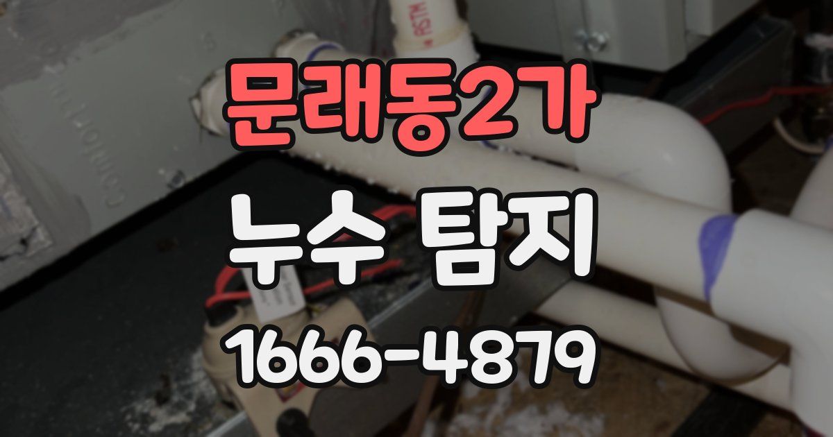 문래동2가 누수 탐지