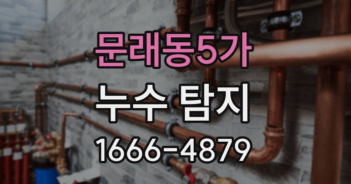 문래동5가 누수 탐지