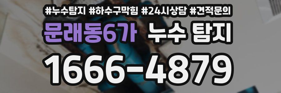 문래동6가 누수 탐지