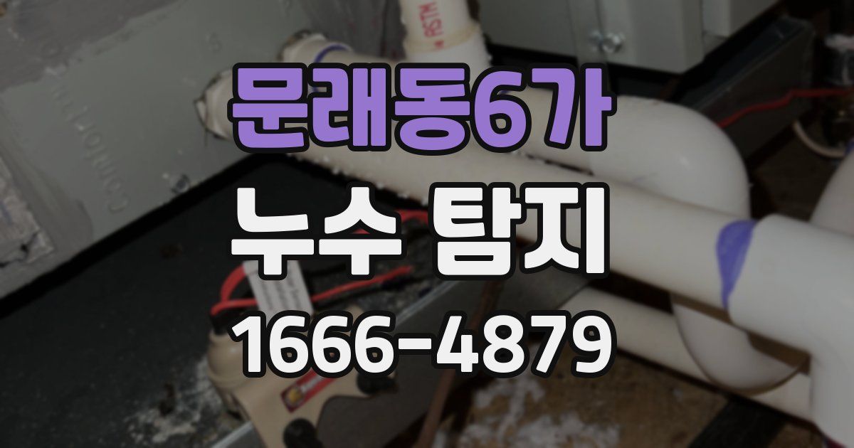 문래동6가 누수 탐지