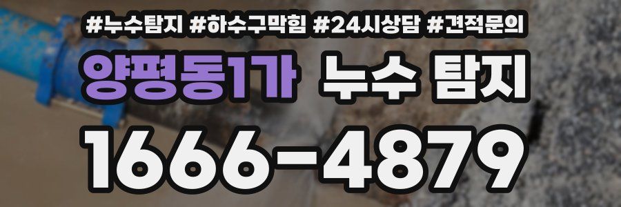 양평동1가 누수 탐지