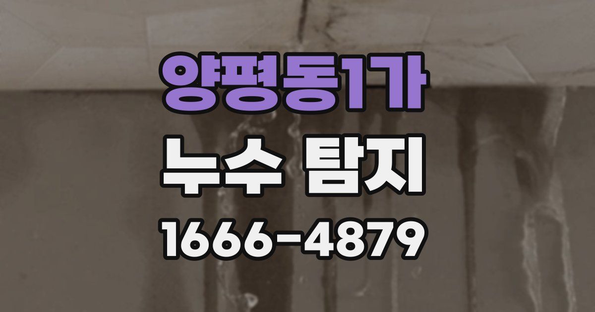 양평동1가 누수 탐지