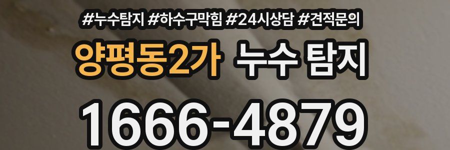 양평동2가 누수 탐지