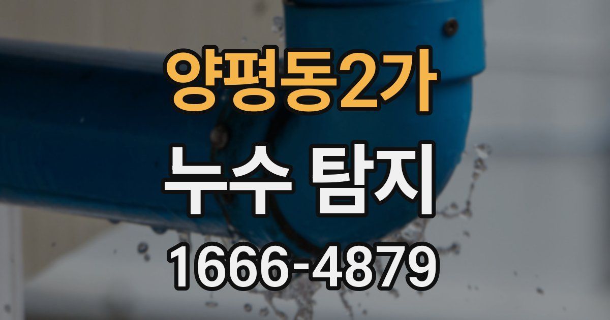 양평동2가 누수 탐지