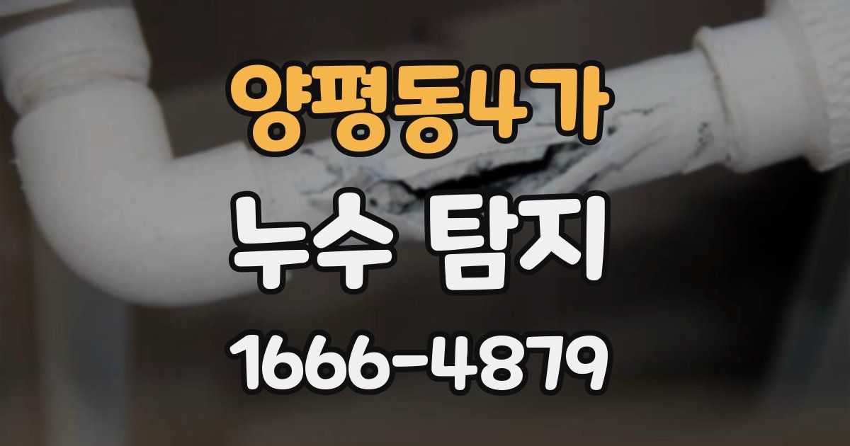 양평동4가 누수 탐지