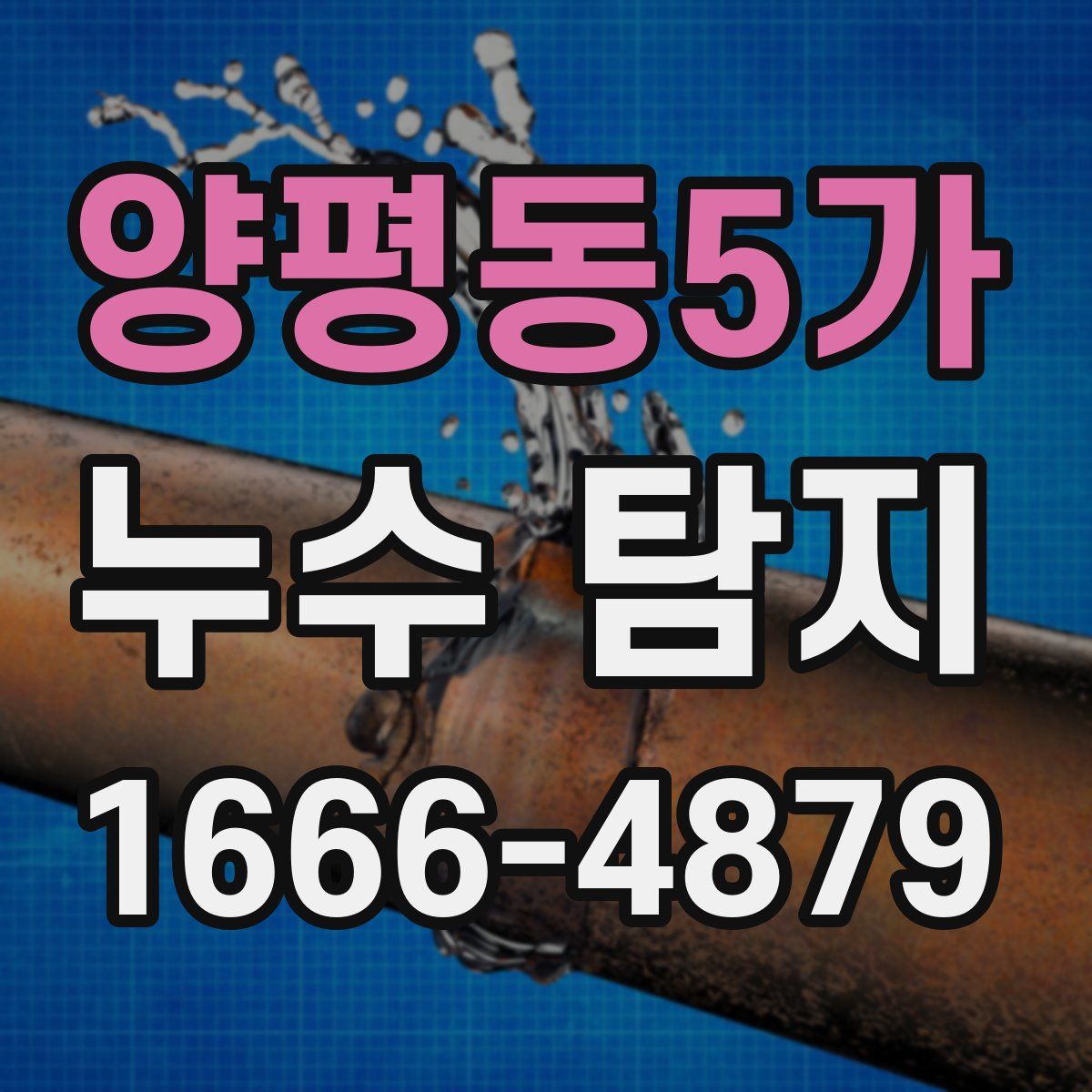 양평동5가 누수 탐지