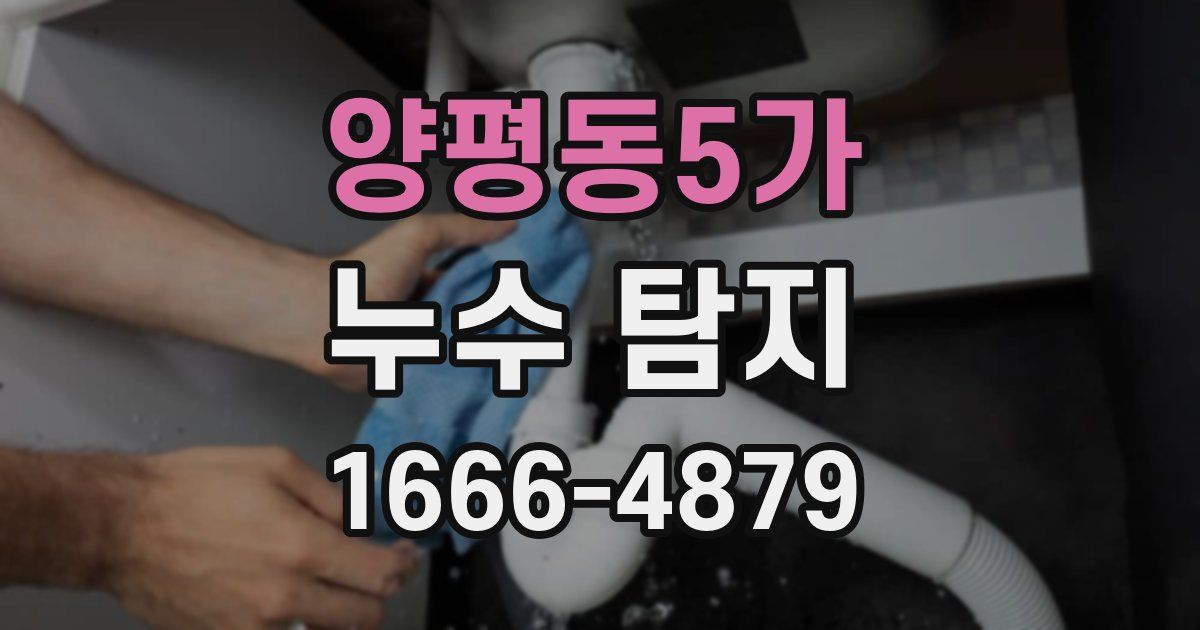 양평동5가 누수 탐지